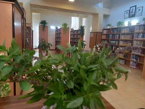 مخزن کتابخانه