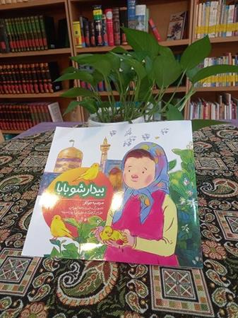 بیدار شو بابا، جشنواره کتابخوانی رضوی